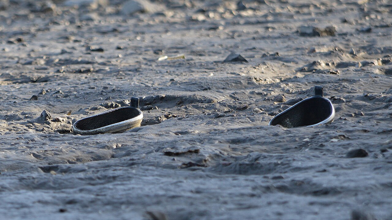 Why tread and ankle support matter in muskeg