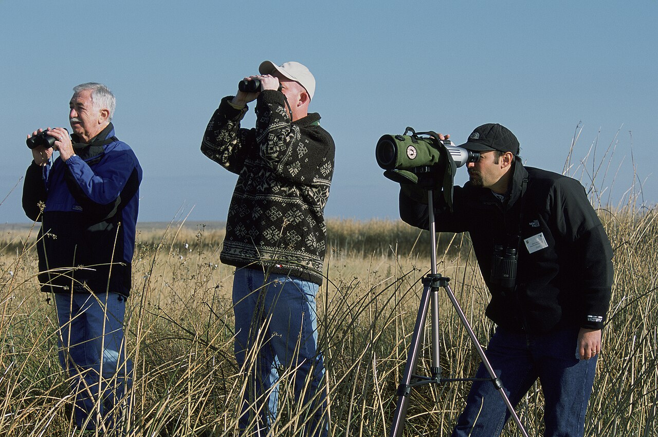 Hunters glassing open country with binoculars