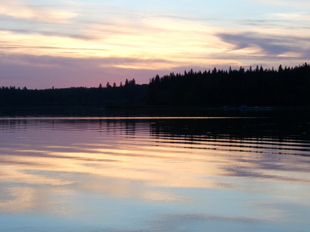 Moose country at sunset